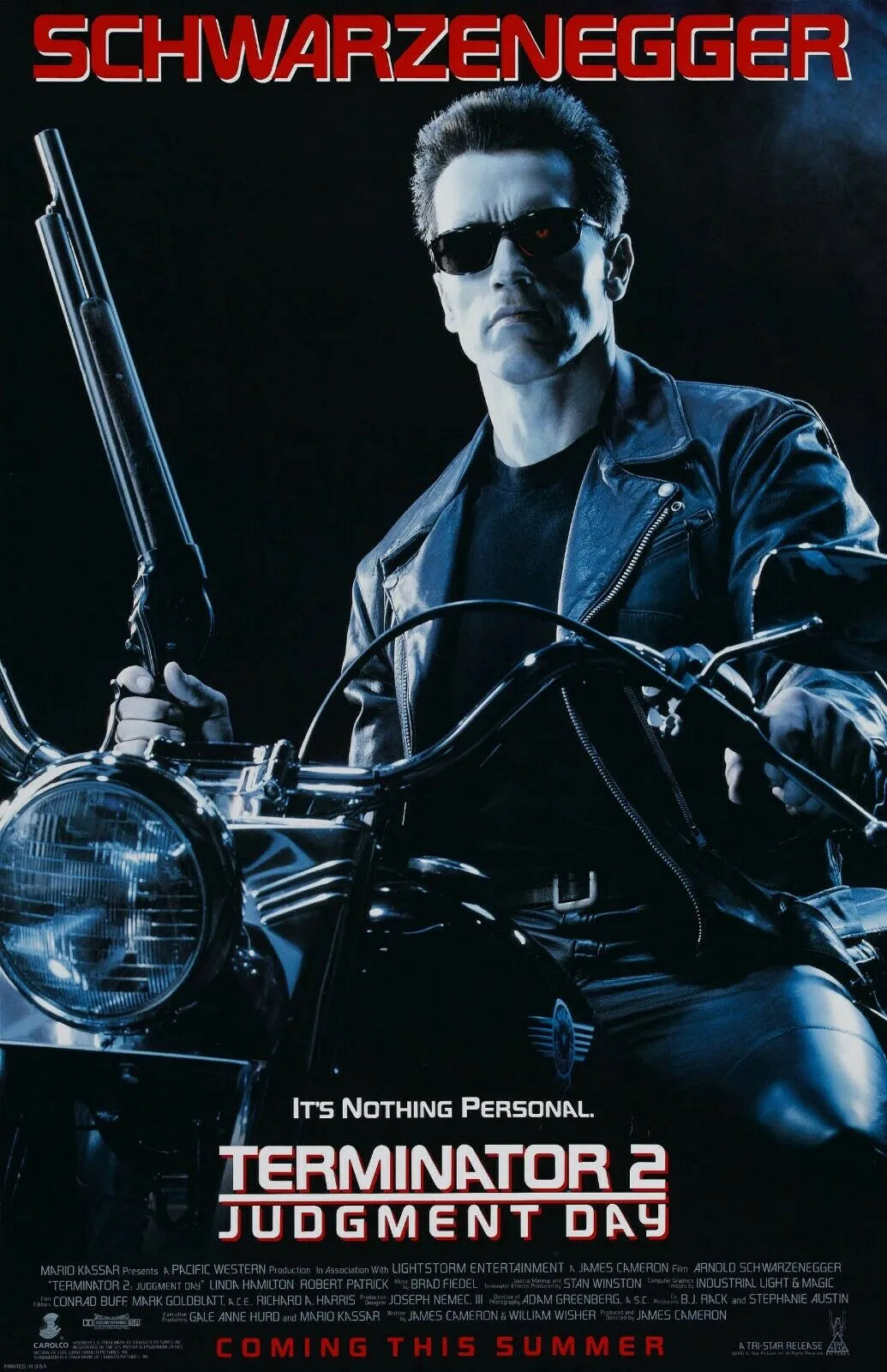 Terminator 2 - Arnold Schwarzenegger Movie Poster-30x45cm-