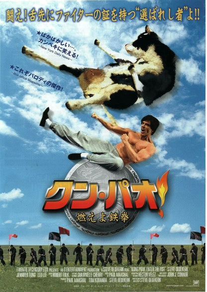 Kung Pow! - Martial Arts Comedy Movie Poster-30x45cm-