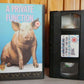 A Private Function - 1988 Warner Home - Droll Comedy Of Manners - Pal VHS-