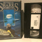 The World Of Sharks & Barracuda [Jordan Klein] Bahamas - Silky Shark - Pal VHS-