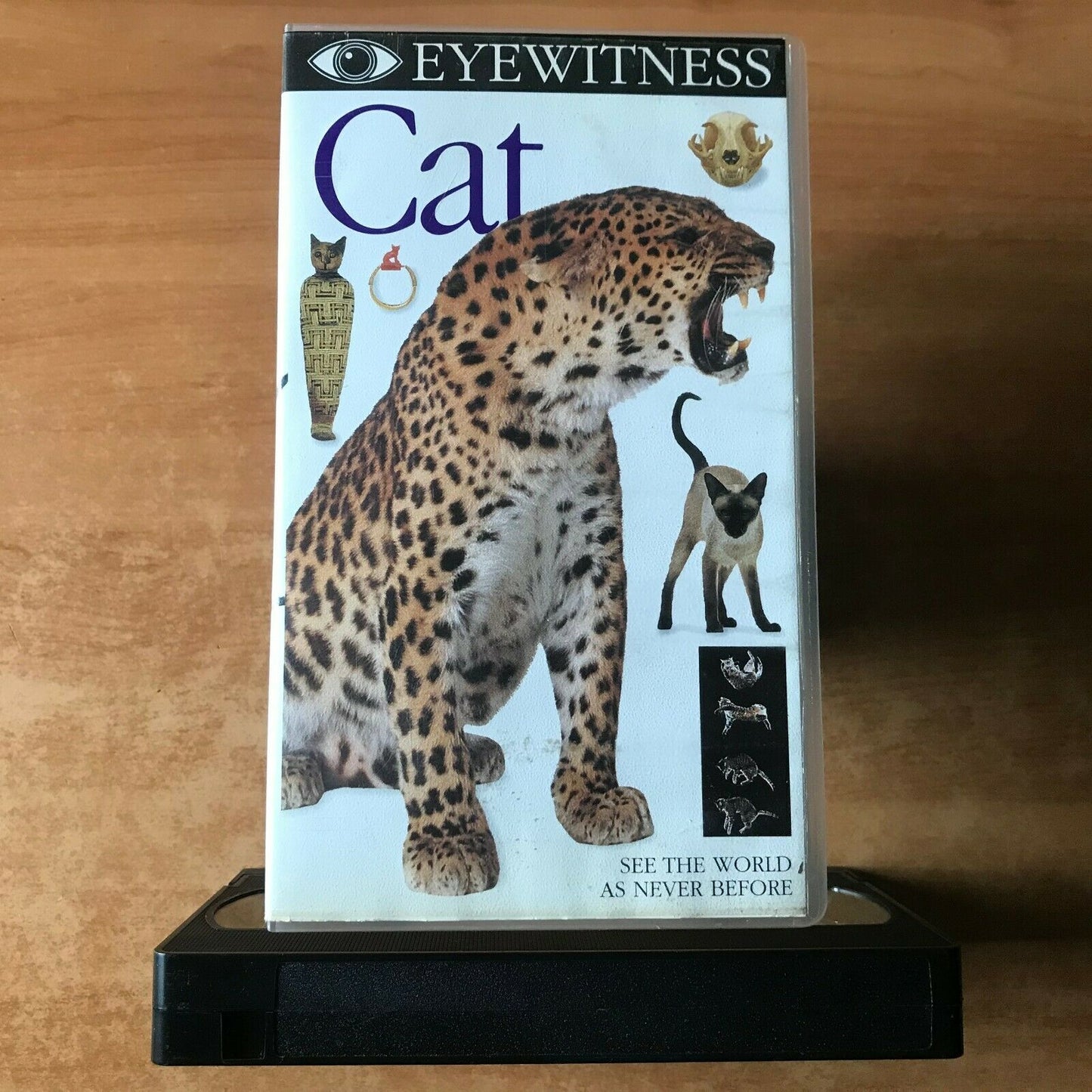 Eyewitness: Cat; [Gavin Maxwell] Documentary - Natural History - Cheetah - VHS-