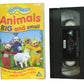 Teletubbies: Animals Big and Small - BBC Video - Children's - Pal VHS-