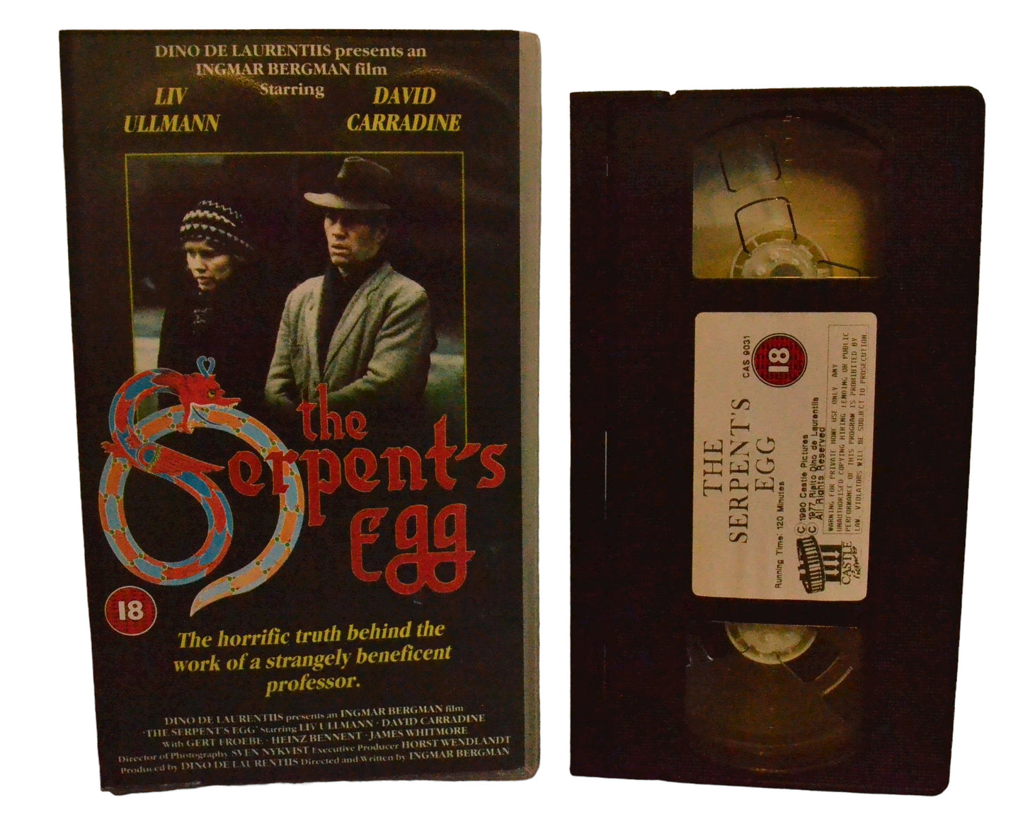 The Serpent's Egg - Liv Ullmann - Castle Flowers - Action - Pal - VHS-