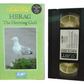 In The Wild Herag The Herring Gull - Simon King - Start Audio & Video - Vintage - Pal VHS-