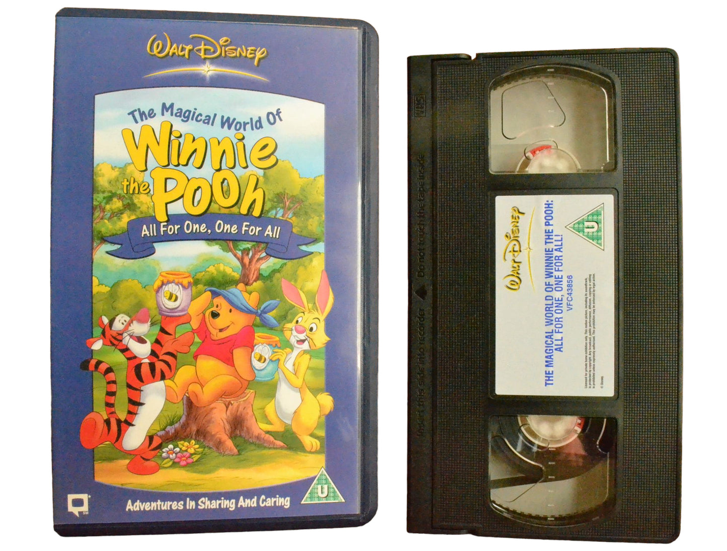 The Magical World of Winnie the Pooh - Walt Disney - Childrens - PAL - VHS-
