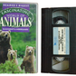 Fascinating World Of Animals: Rainforest & Woodlands - Reader's Digest - Children’s - Pal VHS-